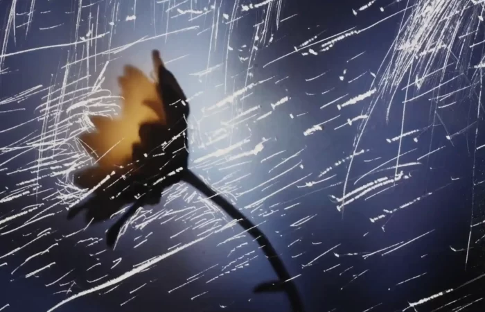 BEYOND SURVIVAL - hero flower